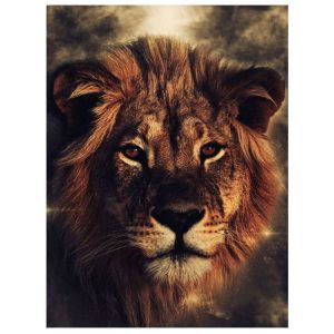 Toile Tête de Lion